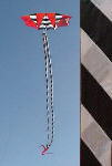 Corkscrew Tails