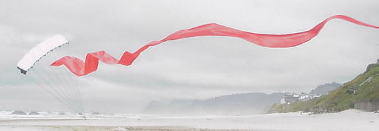 Streamer Flag