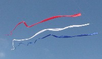 Single Streamers