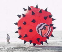 Spikey Bouncers