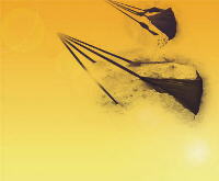 Sand Anchors