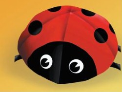 Bouncing Bugs