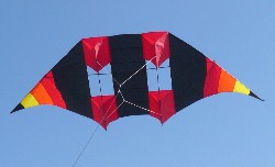 Double Delta Conyne