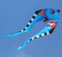 Fish Pyro