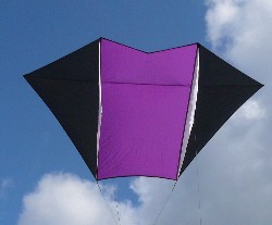 Fled Kite