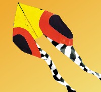 Geometric Pyro