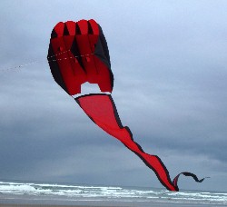 SkyForm