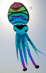 CuttleFish