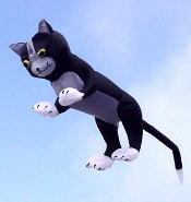 Peter Lynn Kitty