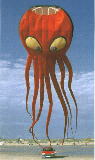 Giant Octopus