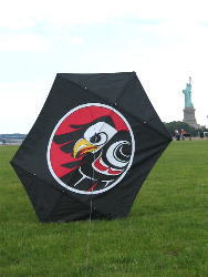 Eagle Rokkaku